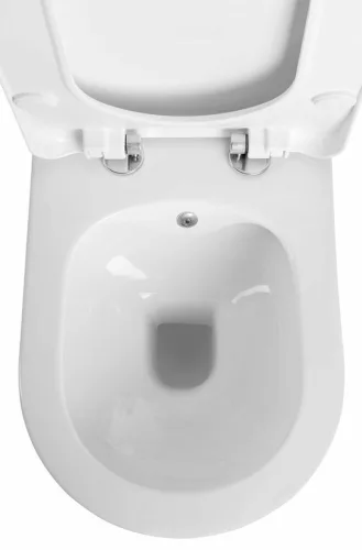 Sapho AVVA RIMLESS fali WC beépített bidézuhannyal, 35,5x53cm, csaptelep nélkül,ülőke nélkül