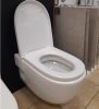 A8012A2004 Meridian WC ülőke Soft-Close Roca * 2021-ben kifutó