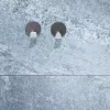 AWD akasztó rozsdamentes acél, öntapadós 3,5x3,9x1,7cm, 2 db/csomag