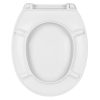 AWD WC ülőke CALMI duroplast, softclose, szürke/bambuszmintás (1999)