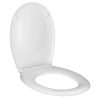 AWD WC ülőke CALMI duroplast, softclose, szürke/bambuszmintás (1999)