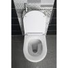 Sapho - Aqualine HYGIE WC ülőke Softclose PS104