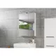 Tboss MIRROR BOX RECTA 60 Tükrös felsőszekrény 2 ajtós, 30 cm-es LED lámpával, 60x80/16cm