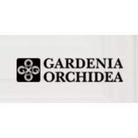 Gardenia Orchidea